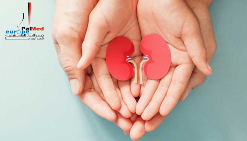 altruistic-kidney-donation-900x600vv