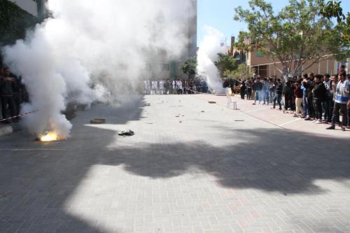 29100987 1527423384046525 2170441841629986816 n